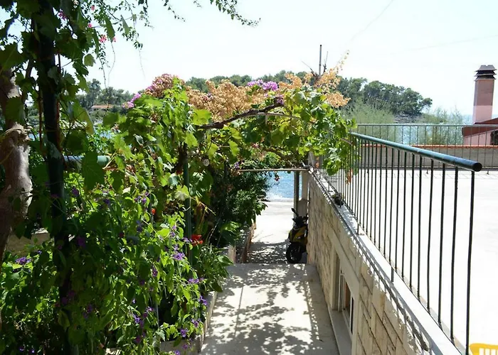 Bay Apartamento