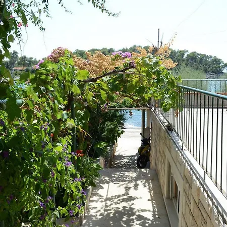 Bay Apartment